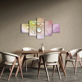 Obraz - Krople rosy (125x70 cm)