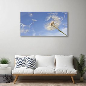 Obraz na płótnie Puszysty Dmuchawiec