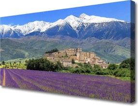 Obraz na płótnie Górska Łąka w Pełni Lata