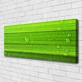 Obraz canvas Soczysta Zieleń Polany