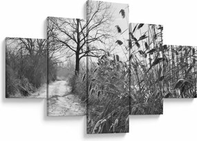 Obraz - Pola w zimie (125x70 cm)