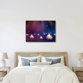 Obraz na szkle - Magiczne lilie wodne (70x50 cm)