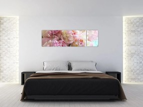 Obraz - Piwonie (170x50 cm)