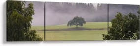 Obraz łąki z drzewem (170x50 cm)