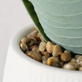 Sztuczna roślina aloes w donicze MONDRAGO, 29 cm