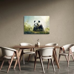 Obraz na szkle - Panda (70x50 cm)