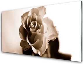 Panel Kuchenny Klasyczna Czerwona Róża