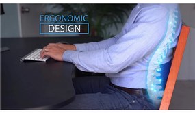 Poduszka lędźwiowa Comfort z pianki z pamięcią kształtu