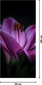 Fototapeta na drzwi - Lilie (95x205cm)