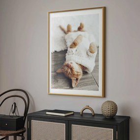 Plakat Leniwy kot 60x90 cm z ramą złotą z marginesem ARTGEIST B