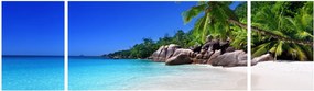Obraz plaży na wyspie Praslin (170x50 cm)
