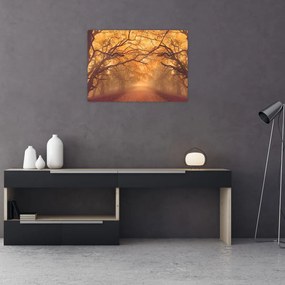 Obraz drogi w jesiennym krajobrazie (70x50 cm)