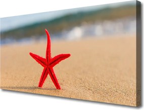Obraz na płótnie Skarby Morza: Rozgwiazda