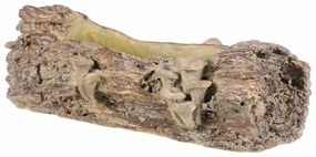 Opakowanie betonowe - skrzynka, drewno z grzybami,41 x 19 x 13 cm, brązowe