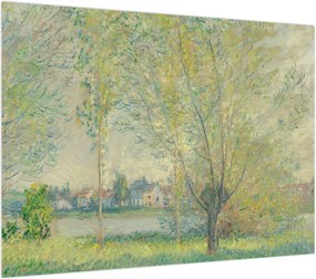 Obraz - Claude Monet, The Willows, reprodukcje (70x50 cm)