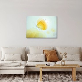 Obraz - Żółty motyl (70x50 cm)