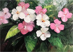 Obraz na szkle - Różowe i białe kwiaty (70x50 cm)