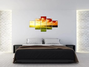 Obraz łąki ze świecącym słońcem (125x70 cm)