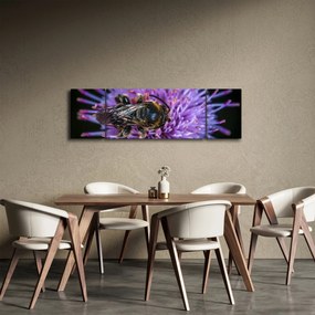 Obraz pszczoły na kwiatku (170x50 cm)