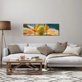 Obraz - Szczegół kwiatu (z zegarem) (90x30 cm)