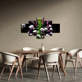 Obraz kwiatu (125x70 cm)