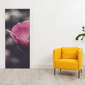 Fototapeta na drzwi - Detal kwiatu róży (95x205cm)