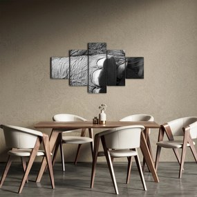 Obraz - Noga słonia (125x70 cm)