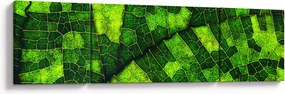 Obraz - Detal liścia (170x50 cm)