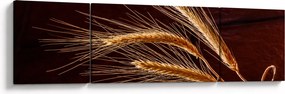 Obraz - Fragment kłosa żyta (170x50 cm)