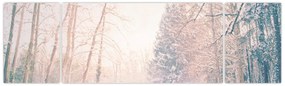 Obraz - Widok na las (170x50 cm)
