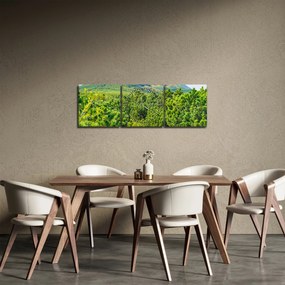Obraz - Babia Góra, Polska (z zegarem) (90x30 cm)