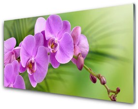 Obraz Szklany Storczyk Orchidea Kwiaty