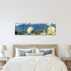 Obraz - Wiosna w Alpach (170x50 cm)