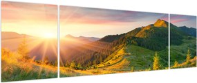 Obraz - Letni krajobraz (170x50 cm)