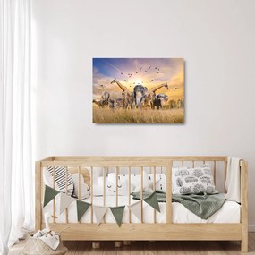 Obraz na szkle - Afrykańskie zwierzęta (70x50 cm)