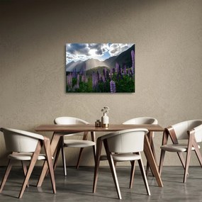 Obraz na szkle - Sceneria łubinów (70x50 cm)