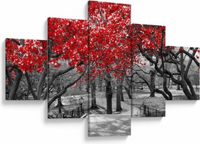 Obraz - Czerwone drzewa, Central Park, New York (125x70 cm)