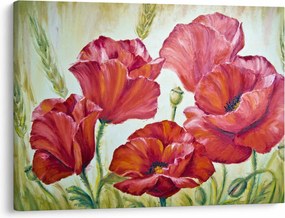 Obraz - Kwiaty maku (70x50 cm)
