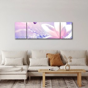 Obraz - Motyl lecący do kwiatu (170x50 cm)