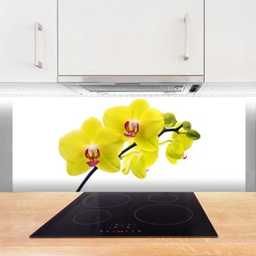 Szkło Dekoracyjne do Kuchni Wyrafinowana Flora Ogrodowa