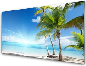 Szkło do Kuchni na Ścianę Egzotyczna Plaża Pod Palmą