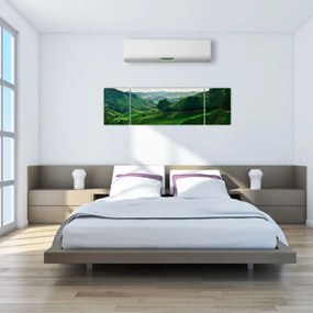 Obraz - Plantacje herbaty w Malezji (170x50 cm)
