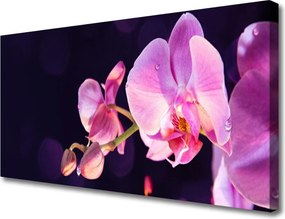 Obraz na płótnie Kompozycja Kwiatów i Liści