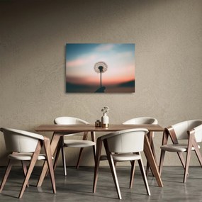 Obraz na szkle - Trzymam cię, dmuchawcu (70x50 cm)