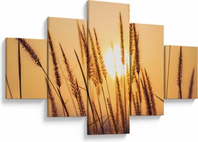 Obraz - Trawa w słońcu (125x70 cm)