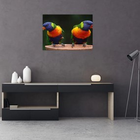 Obraz papug (70x50 cm)