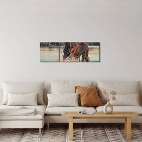 Obraz - Biegnący koń (z zegarem) (90x30 cm)