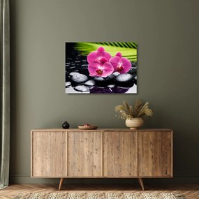 Obraz na szkle - Różowe orchidee z liściem palmy (70x50 cm)