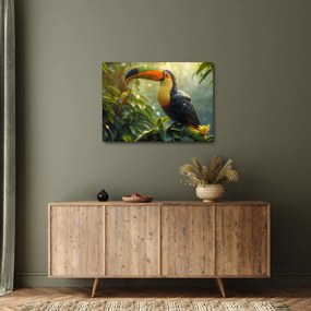 Obraz - Tukan (70x50 cm)