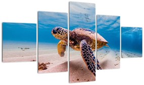 Obraz żółwia w oceanie (125x70 cm)